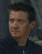 Hawkeye AAoU