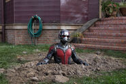 Ant-Man 06