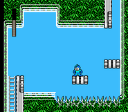 Spikes in Top Man's stage in Mega Man 3