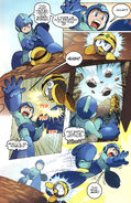 Met in the Mega Man comic.