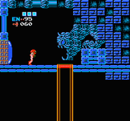 The entrance to Kraid's Lair in Metroid