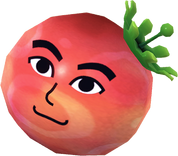 Traveler's friend tomato