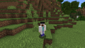 Sein Skin in Minecraft