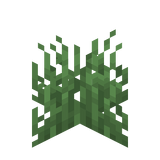 Gras