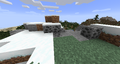 Coal ore generated in snowy biome.