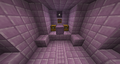 Elytra in an end ship.