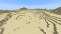 An example of a normal desert.