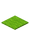 Lime Carpet