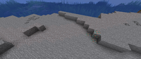 A strip of gravel in a stony shore biome.