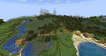 Village generated into swamp biome.