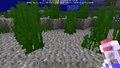 Seagrass when first added in Bedrock Edition.