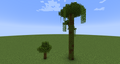 Large and small jungle trees.