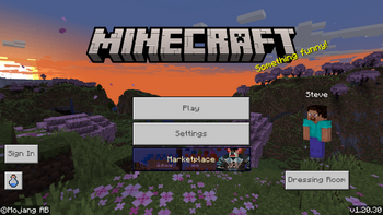 Bedrock 1.20.30