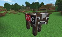 De koe van de PC Gamer Minecraft Demo.