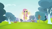 Resolute Fluttershy S2E22