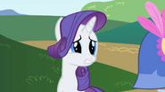 Rarity saddened S1E20