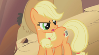 Applejack rainbow! S01E13