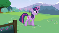 Twilight Sparkle