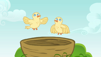 Chicks flying S4E04