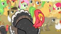 Turkey gobbling S4E14