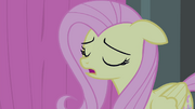 Fluttershy scatting S4E14