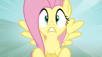 Even Fluttershy can understand the concept of skyrocketing prices.