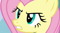 Fluttershy enraged S03E10