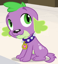 Dog, My Little Pony Equestria Girls