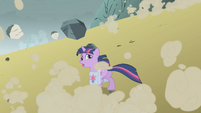 Help, somepony!