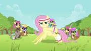 Fluttershy Pushup S02E22