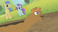 Rarity mud S02E05