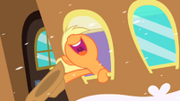 Applejack "Yeehaw!" S2E11