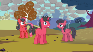 Sunburned ponies S03E13