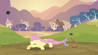 Determined Fluttershy S02E22