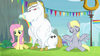 Derpy shrugging S4E10