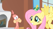 Fluttershy smiles S01E22