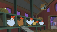 A look into Fluttershy's chicken coop.