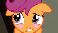 Scootaloo blushing S2E23