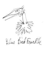 Blue Bird Frackle