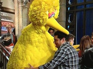 BobbyMoynihanBigBird