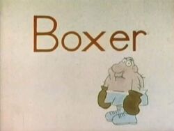 Boxer