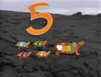 Five Turtles (First: Episode 2854)