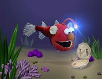 Elmo Angler Fish