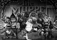 Muppets on tour