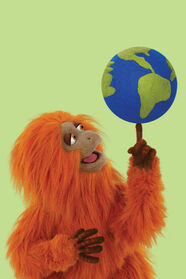 Leo the Golden Lion TamarinOptimistic and sunny after the resurgence of the golden lion tamarins. He may become so excited that he spontaneously breaks out in rhyme when describing ways to conserve animals’ habitats.