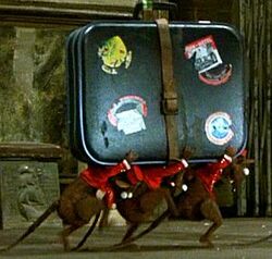 Ratbellhops