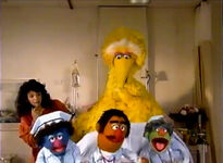 "You Gotta Be Patient (To Be a Patient)" (Sesame Street Home Video Visits the Hospital)