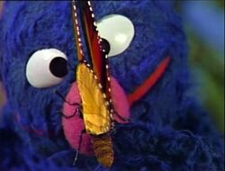 Grover-butterfly