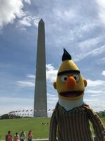 Bert and the Washington Monument