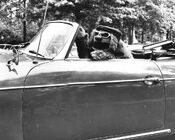 "Having let the chauffer off for the afternoon, Rowlf drives off in his sports car while waving to his fans."